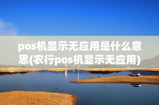 pos机显示无应用是什么意思(农行pos机显示无应用)