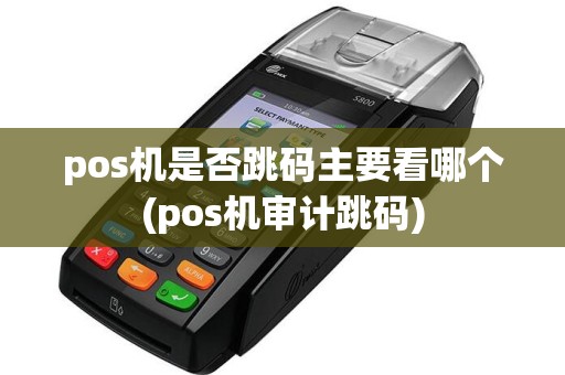 pos机是否跳码主要看哪个(pos机审计跳码)  第1张