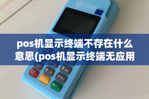 pos机显示终端不存在什么意思(pos机显示终端无应用)  第1张