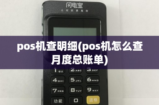 pos机查明细(pos机怎么查月度总账单)