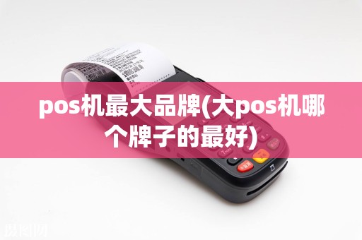 pos机最大品牌(大pos机哪个牌子的最好)