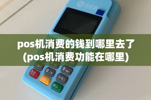 pos机消费的钱到哪里去了(pos机消费功能在哪里)