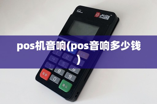 pos机音响(pos音响多少钱)  第1张