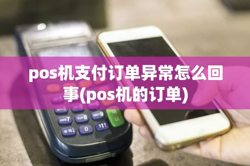 pos机支付订单异常怎么回事(pos机的订单)