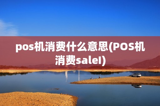 pos机消费什么意思(POS机消费saleI)