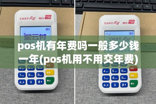 pos机有年费吗一般多少钱一年(pos机用不用交年费)