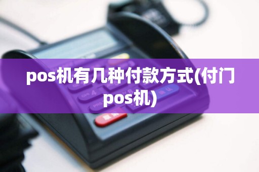 pos机有几种付款方式(付门pos机)