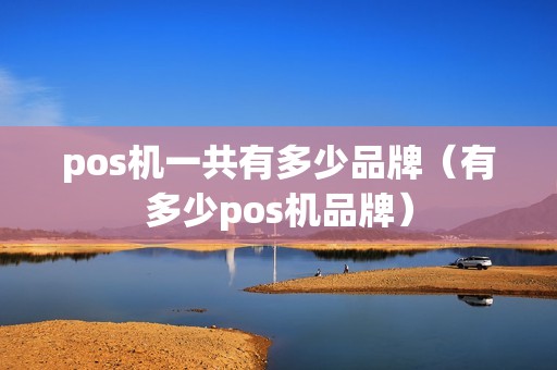 pos机一共有多少品牌（有多少pos机品牌）