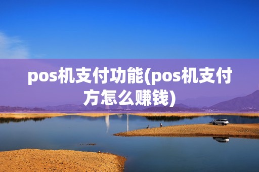 pos机支付功能(pos机支付方怎么赚钱)