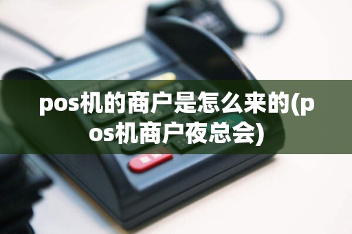 pos机的商户是怎么来的(pos机商户夜总会)  第1张