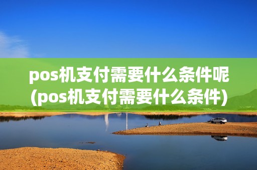 pos机支付需要什么条件呢(pos机支付需要什么条件)