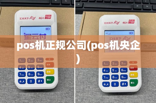 pos机正规公司(pos机央企)