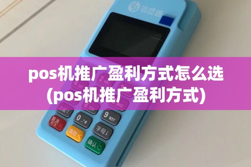 pos机推广盈利方式怎么选(pos机推广盈利方式)