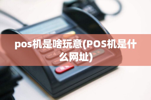 pos机是啥玩意(POS机是什么网址)