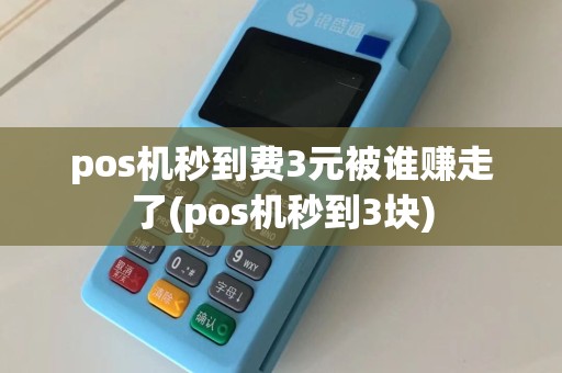pos机秒到费3元被谁赚走了(pos机秒到3块)