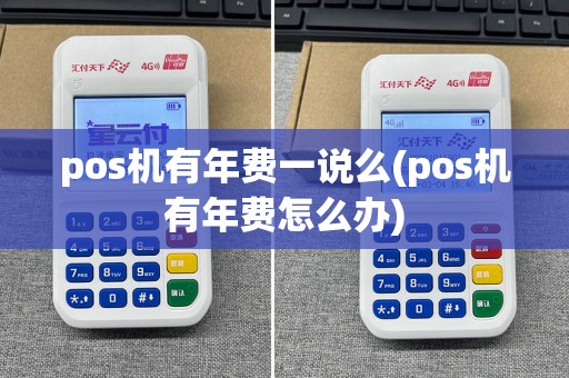 pos机有年费一说么(pos机有年费怎么办)