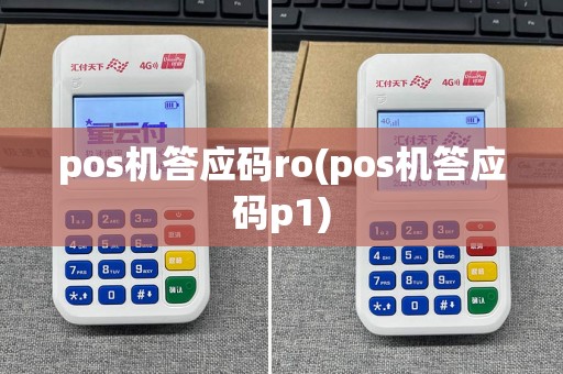 pos机答应码ro(pos机答应码p1)