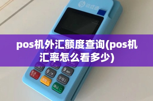 pos机外汇额度查询(pos机汇率怎么看多少)