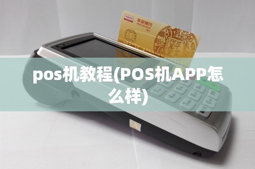 pos机教程(POS机APP怎么样)