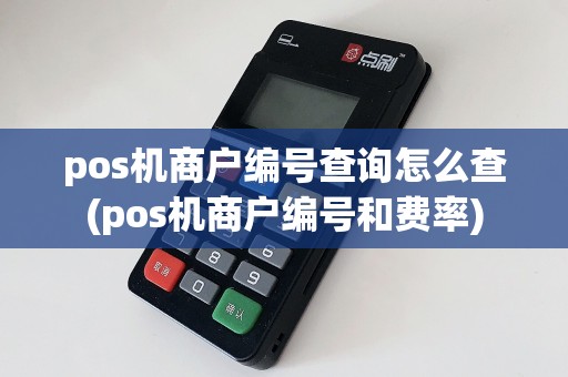 pos机商户编号查询怎么查(pos机商户编号和费率)