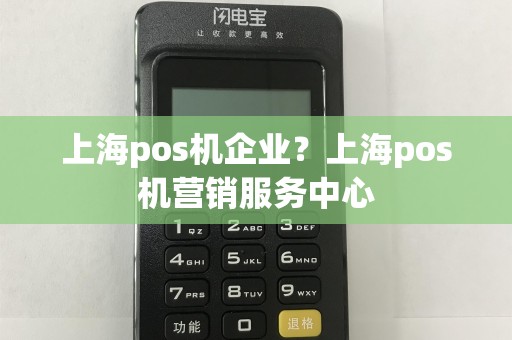 上海pos机企业？上海pos机营销服务中心