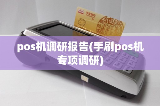 pos机调研报告(手刷pos机专项调研)  第1张