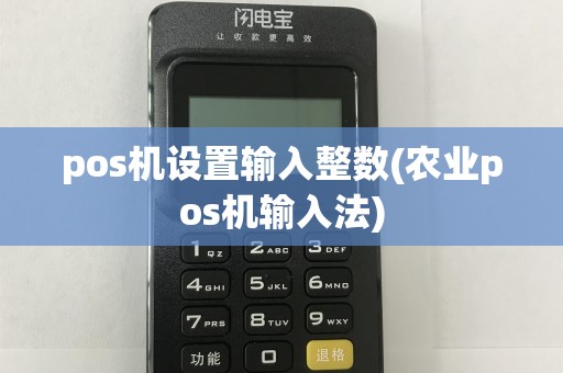 pos机设置输入整数(农业pos机输入法)