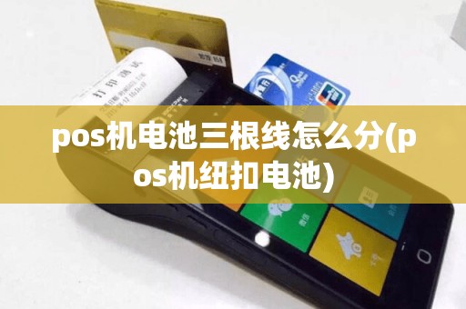 pos机电池三根线怎么分(pos机纽扣电池)