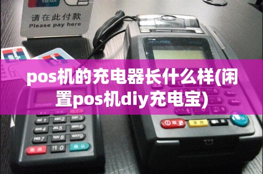 pos机的充电器长什么样(闲置pos机diy充电宝)