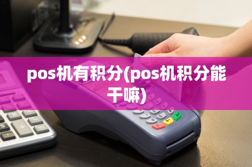 pos机有积分(pos机积分能干嘛)