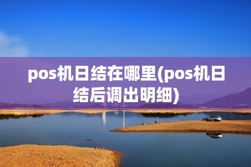 pos机日结在哪里(pos机日结后调出明细)