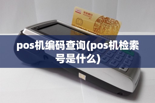 pos机编码查询(pos机检索号是什么)