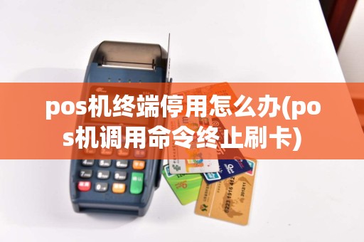 pos机终端停用怎么办(pos机调用命令终止刷卡)