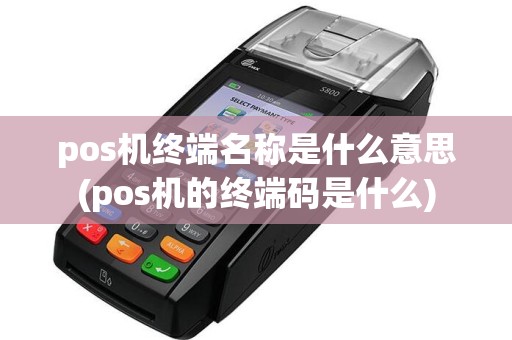 pos机终端名称是什么意思(pos机的终端码是什么)