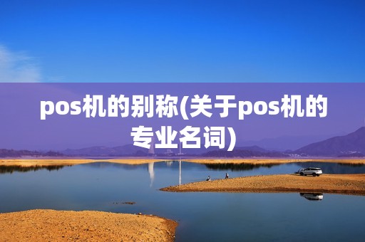 pos机的别称(关于pos机的专业名词)