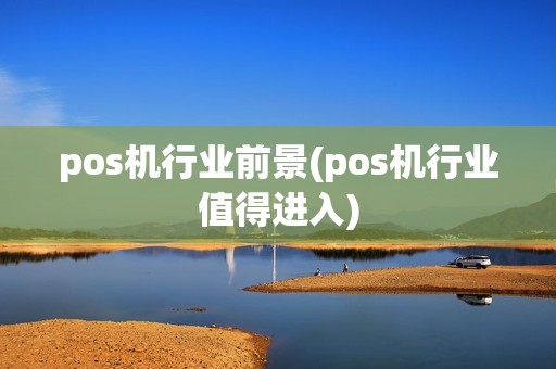 pos机行业前景(pos机行业值得进入)