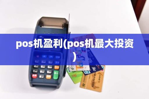 pos机盈利(pos机最大投资)