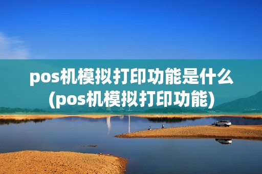 pos机模拟打印功能是什么(pos机模拟打印功能)