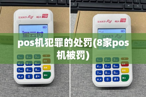 pos机犯罪的处罚(8家pos机被罚)