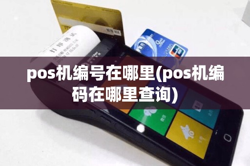pos机编号在哪里(pos机编码在哪里查询)