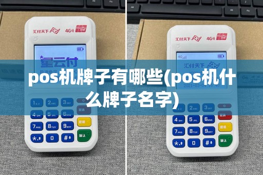 pos机牌子有哪些(pos机什么牌子名字)
