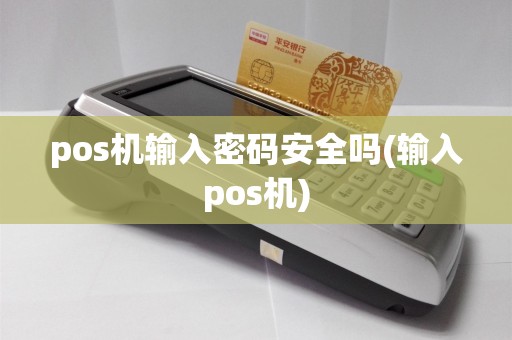 pos机输入密码安全吗(输入pos机)