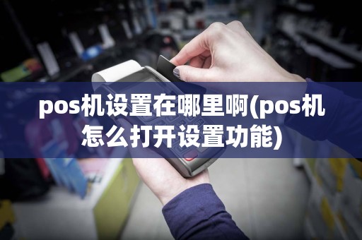 pos机设置在哪里啊(pos机怎么打开设置功能)