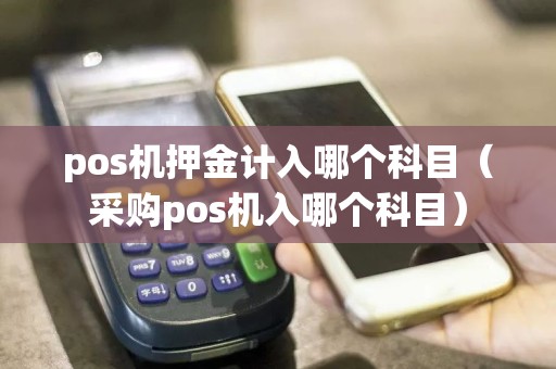 pos机押金计入哪个科目（采购pos机入哪个科目）
