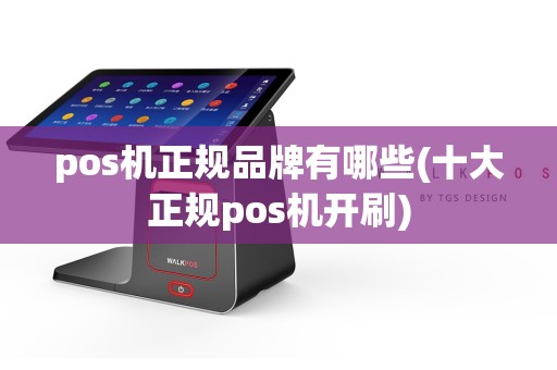 pos机正规品牌有哪些(十大正规pos机开刷)  第1张