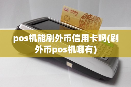pos机能刷外币信用卡吗(刷外币pos机哪有)