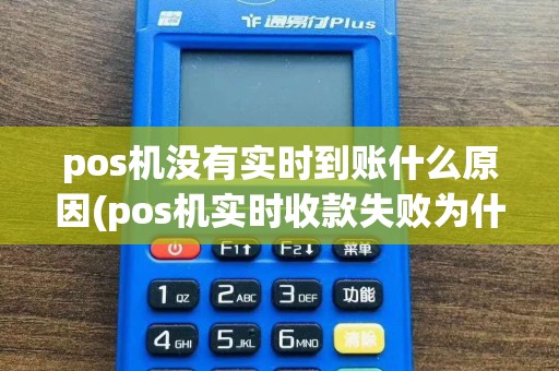 pos机没有实时到账什么原因(pos机实时收款失败为什么)