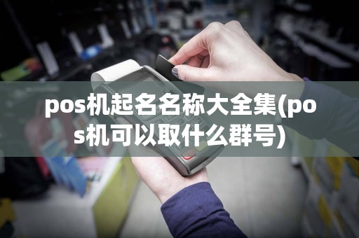 pos机起名名称大全集(pos机可以取什么群号)