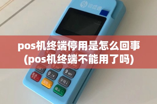 pos机终端停用是怎么回事(pos机终端不能用了吗)