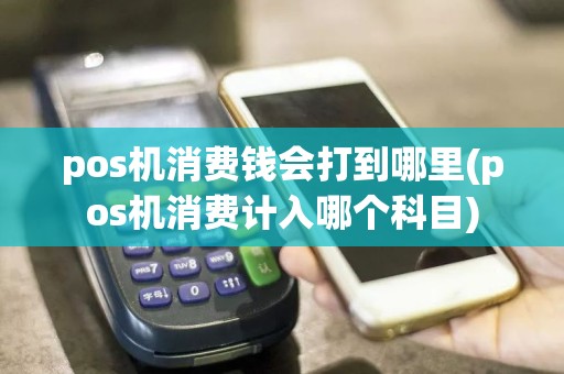 pos机消费钱会打到哪里(pos机消费计入哪个科目)